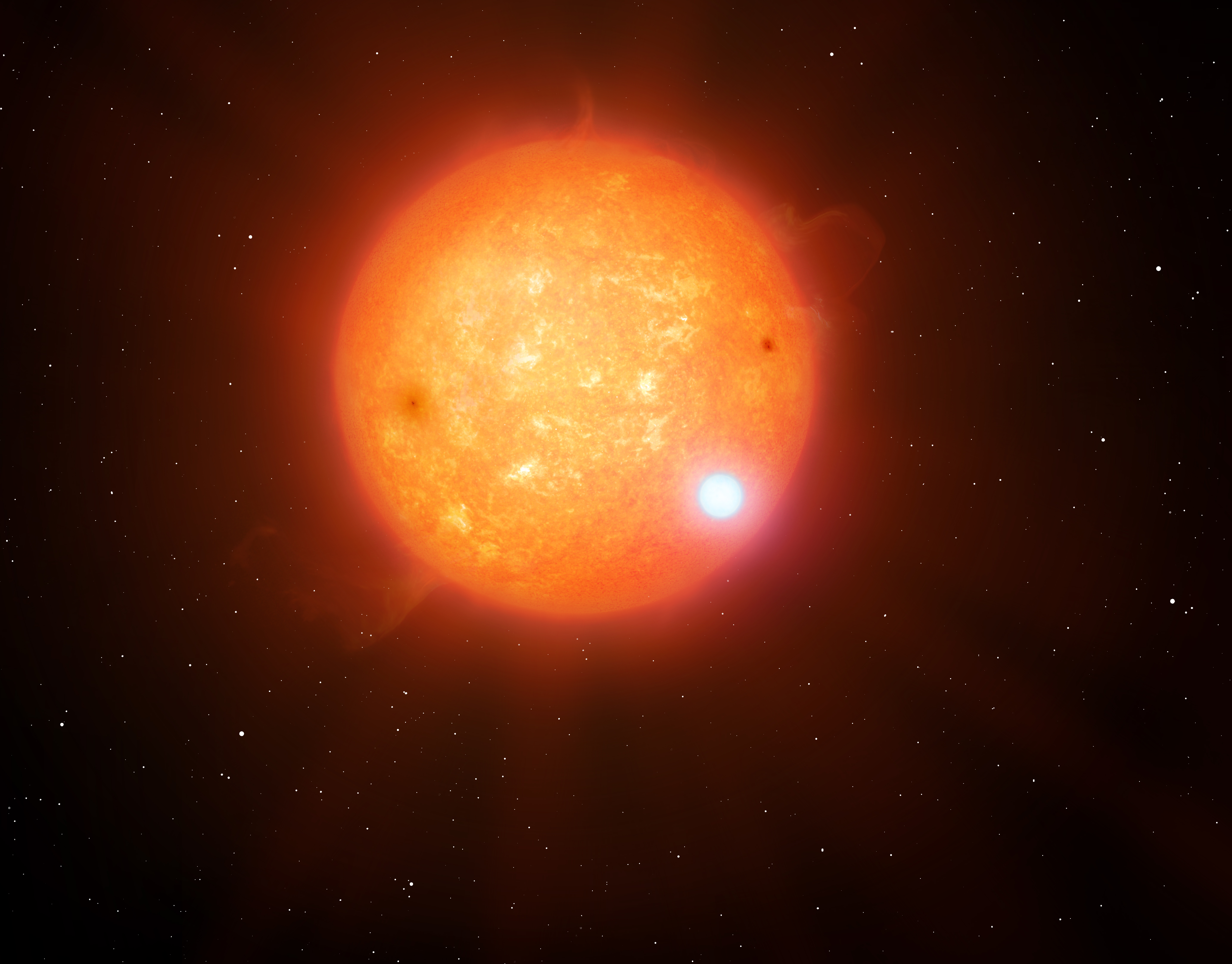Two-Faced Star Exposed 